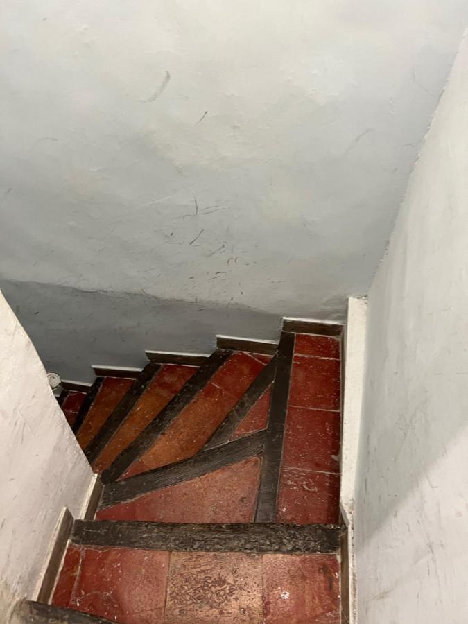 Lemon Tree - Vieux Port Marseille Apartman Kültér fotó